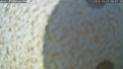 2025-05-01