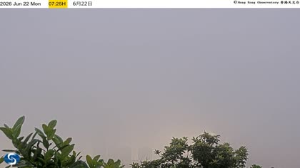 2026-06-22