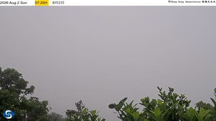 2026-08-02