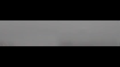 2026-05-19