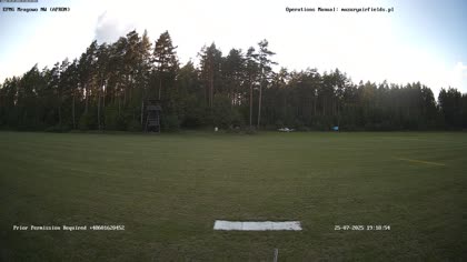 2025-07-25