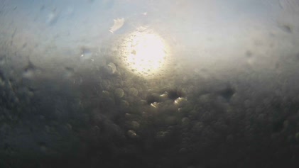 2025-06-05