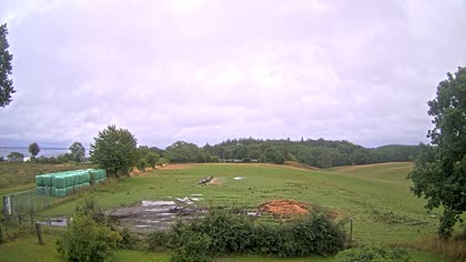 2025-08-03