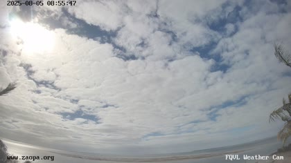 2025-08-05