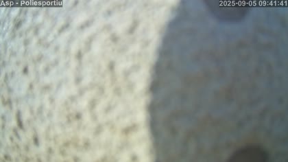 2025-09-05