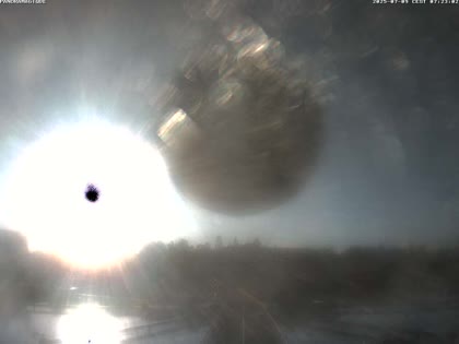 2025-07-09