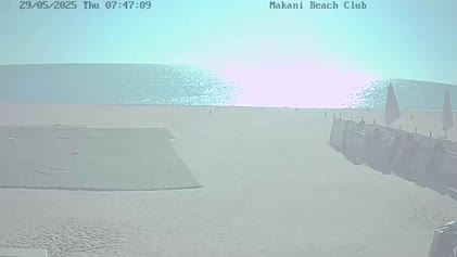 2025-05-29