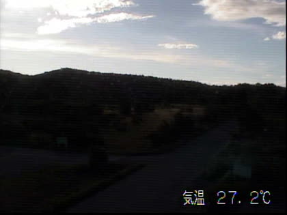 2025-07-20