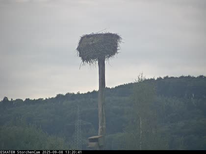2025-09-08
