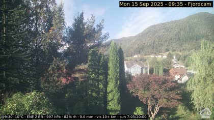 2025-09-15