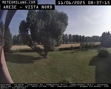 2025-06-11