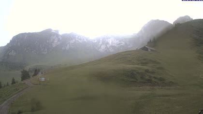 2025-07-01