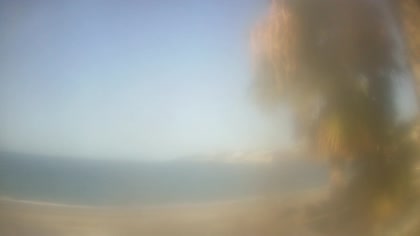 2026-08-26