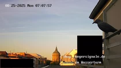 2025-08-25