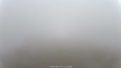 2025-10-15