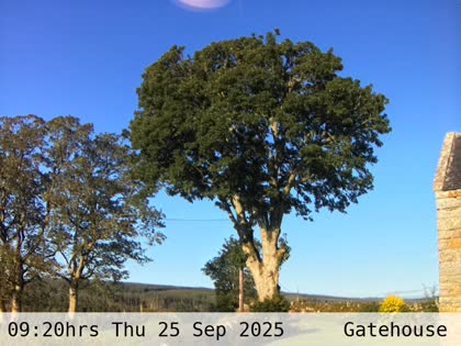 2025-09-25