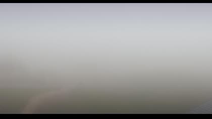 2025-07-26