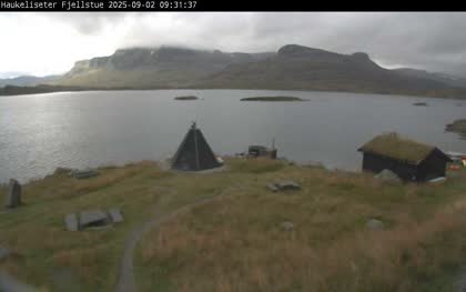 2025-09-03