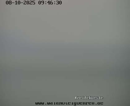 2025-10-08