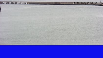 2025-06-10