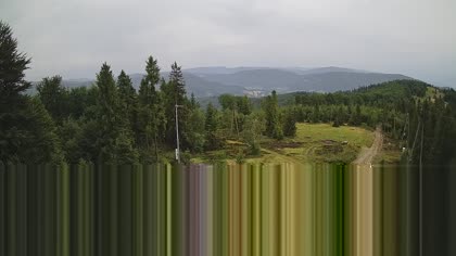 2025-07-24