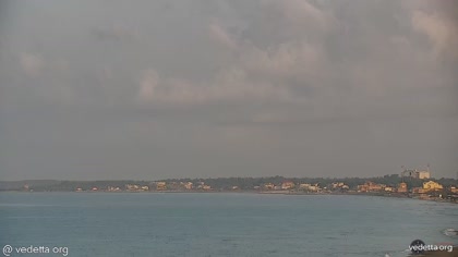 2026-07-22