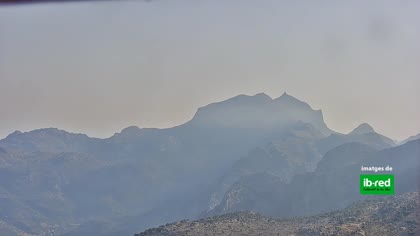 2025-08-08