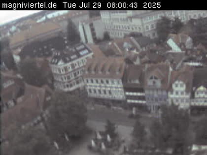 2025-07-29