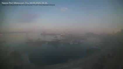 2025-05-29