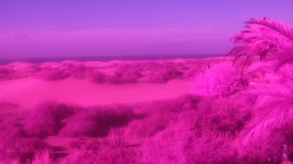 2026-10-01