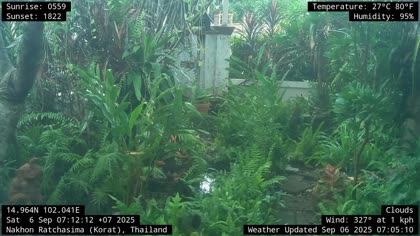 2025-09-06