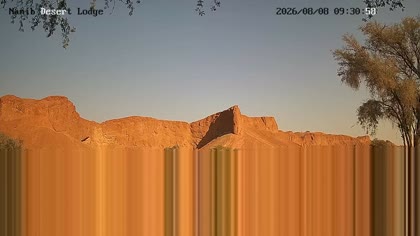 2026-08-08