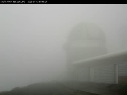 2025-04-12