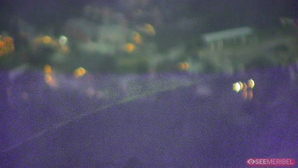 2025-06-29