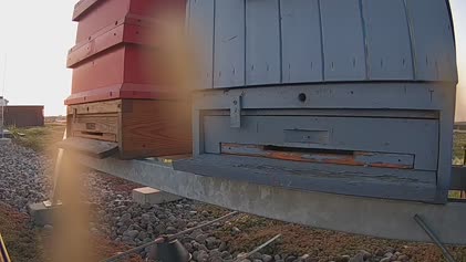 2025-05-01