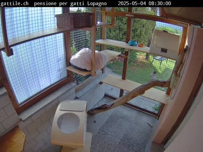 2025-05-04