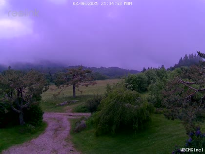 2025-06-03