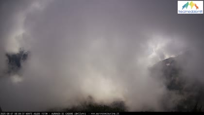 2025-08-07