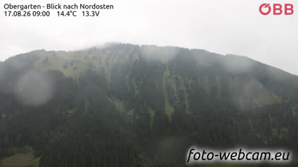 2026-08-17