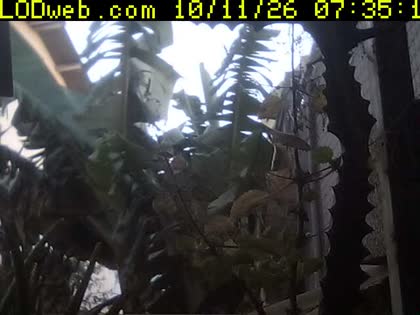 2026-10-11