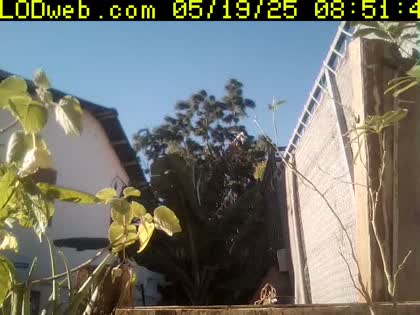 2025-05-19