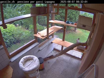 2025-08-07