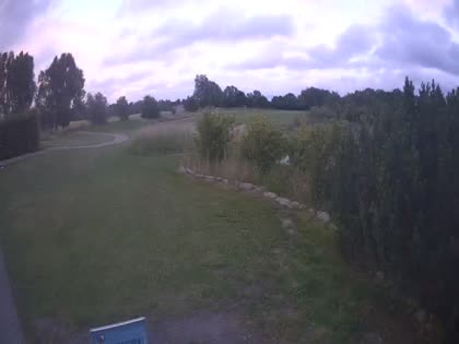 2025-06-29