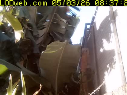 2026-05-03