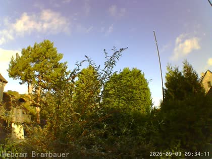 2026-09-09