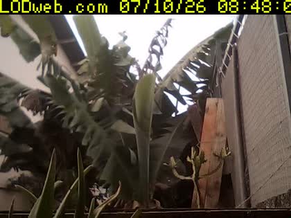 2026-07-10