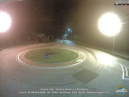2025-08-01
