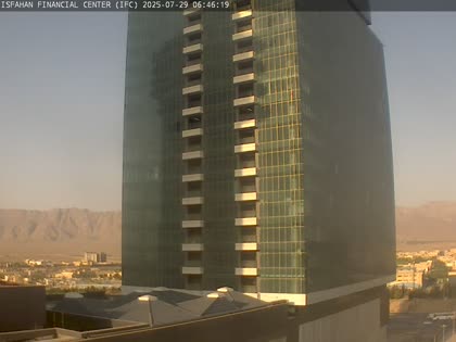 2025-07-29