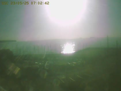 2025-05-23