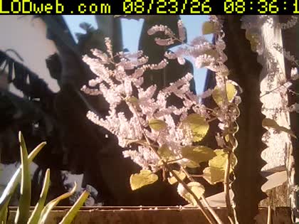 2026-08-23